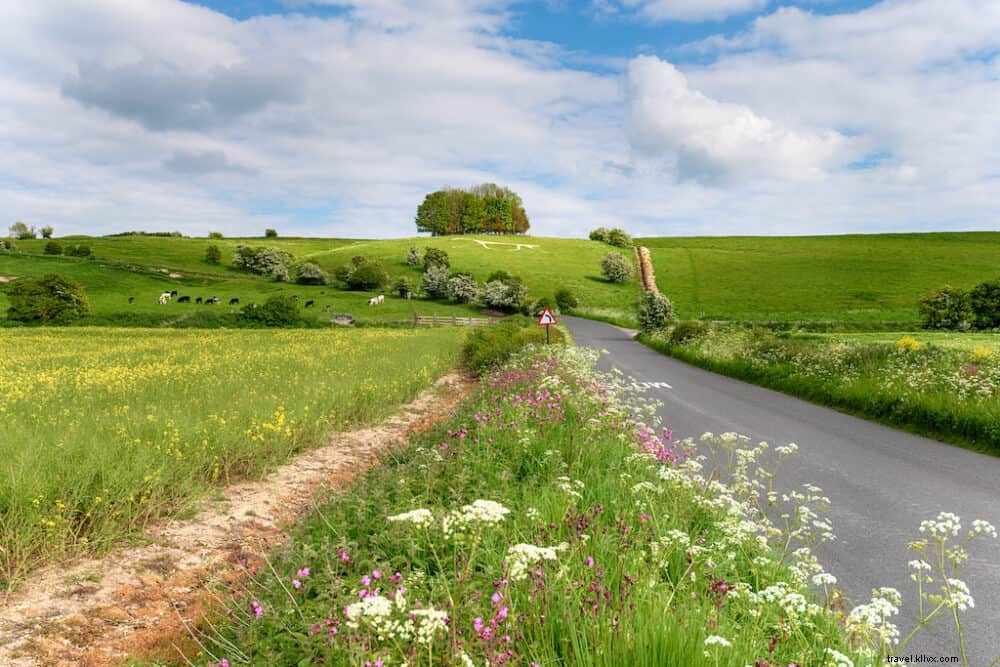 The 15 Most Beautiful Places to Visit in Wiltshire, England