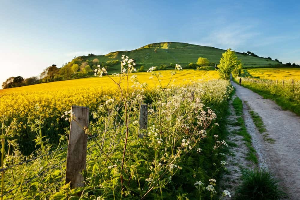 The 15 Most Beautiful Places to Visit in Wiltshire, England