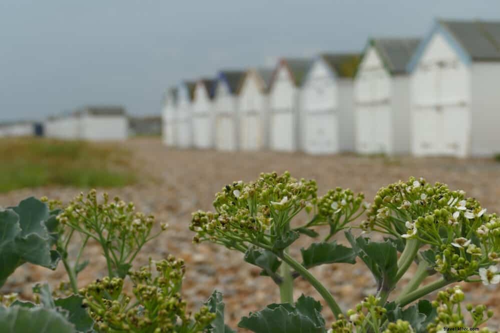 15 Most Beautiful Places to Visit in West Sussex, UK