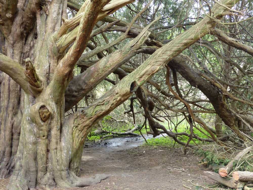 15 Most Beautiful Places to Visit in West Sussex, UK