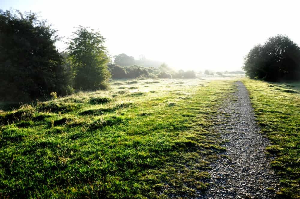 17 Most Beautiful Places to Visit in Berkshire: A Local s Guide