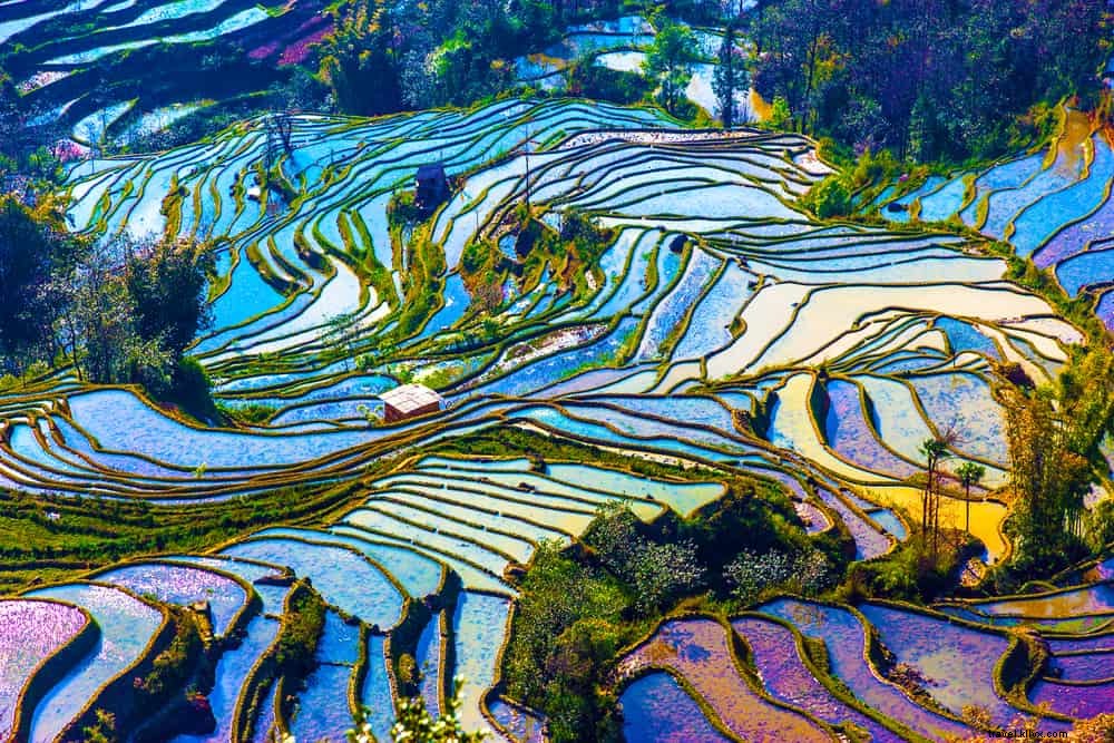 Top 20 Most Stunning Places to Visit in China: Ultimate Travel Guide