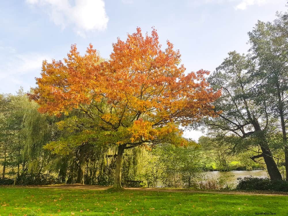 15 Stunning Places to Visit in Essex: Discover the County s Best-Kept Secrets