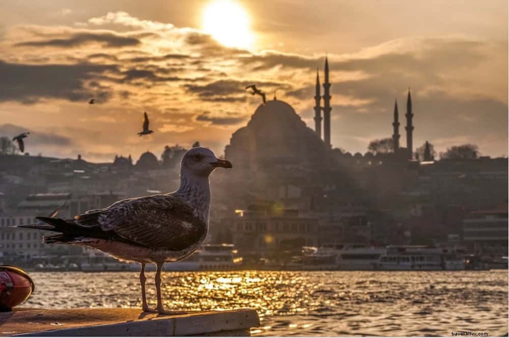 21 Stunning Places to Visit in Turkey: Hidden Gems and Iconic Wonders
