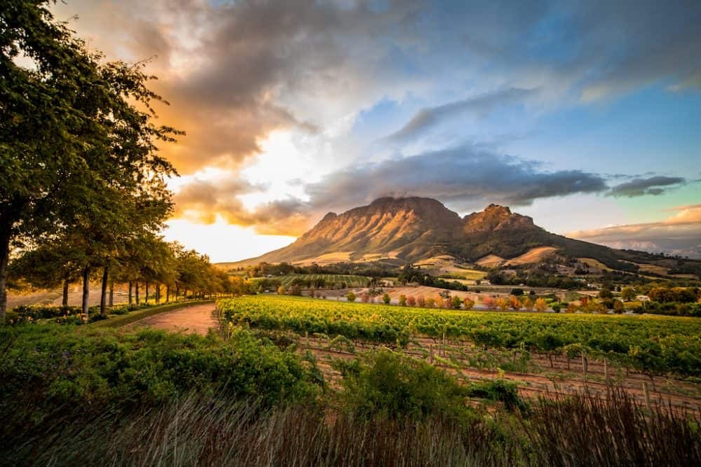 24 Most Beautiful Places to Visit in South Africa: An Expert Travel Guide