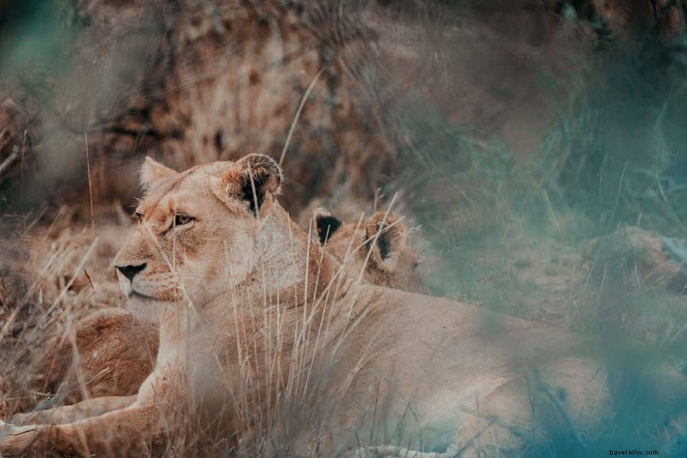 24 Most Beautiful Places to Visit in South Africa: An Expert Travel Guide