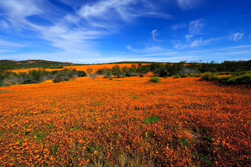 24 Most Beautiful Places to Visit in South Africa: An Expert Travel Guide