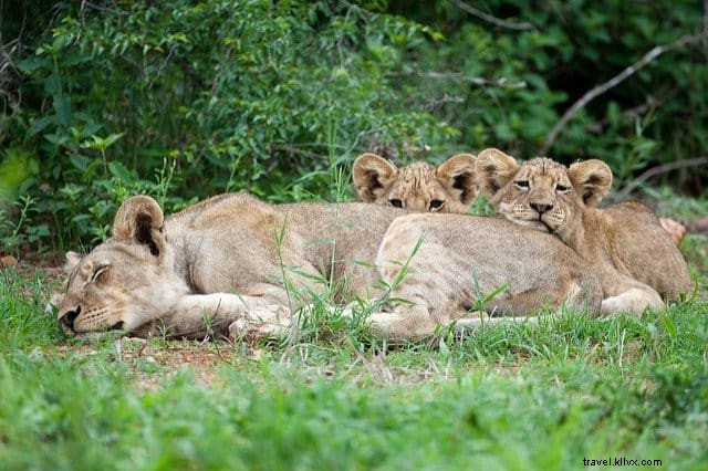 24 Most Beautiful Places to Visit in South Africa: An Expert Travel Guide