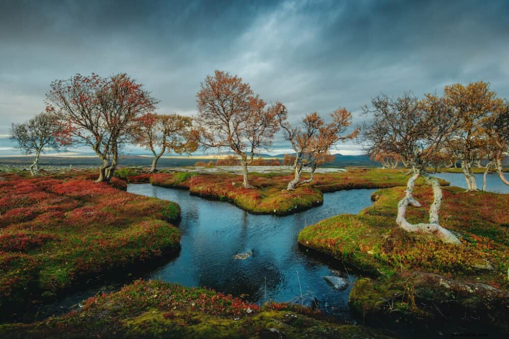 20 Most Breathtaking Places to Visit in Norway: Fjords, Islands, and Hidden Gems