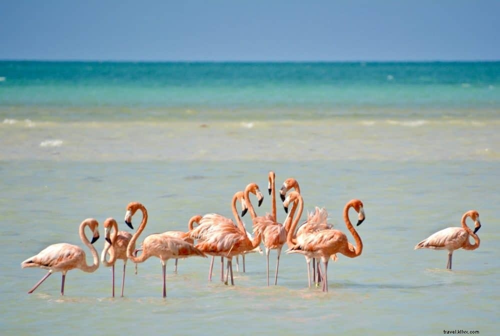 24 Stunning Places to Visit in Mexico: Hidden Gems Beyond the Beaches