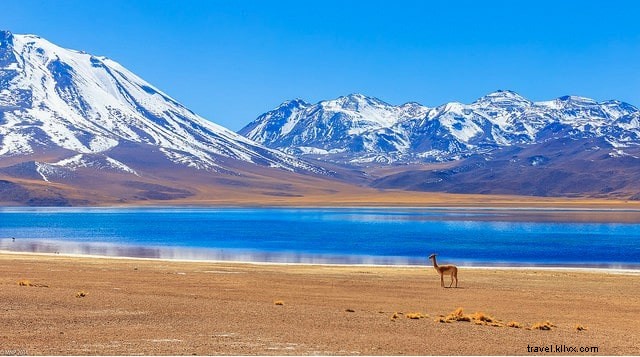 10 Most Stunning Places to Visit in Chile: Natural Wonders Await
