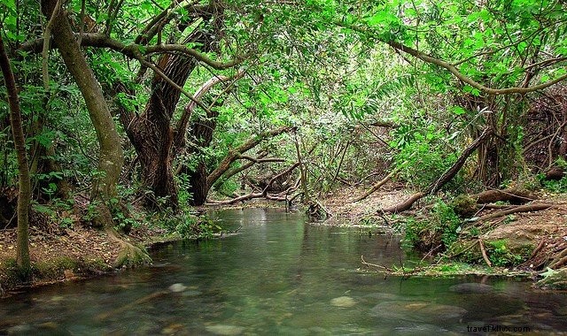 Top 10 Most Beautiful Places to Visit in Israel: A Traveler s Essential Guide