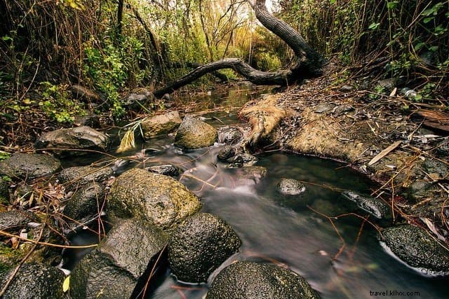 Top 10 Most Beautiful Places to Visit in Israel: A Traveler s Essential Guide