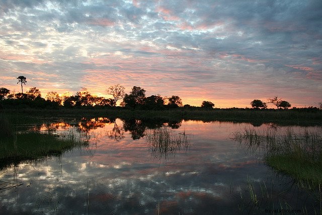Top 10 Most Beautiful Places to Visit in Botswana for Unforgettable Safaris