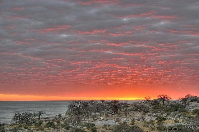 Top 10 Most Beautiful Places to Visit in Botswana for Unforgettable Safaris