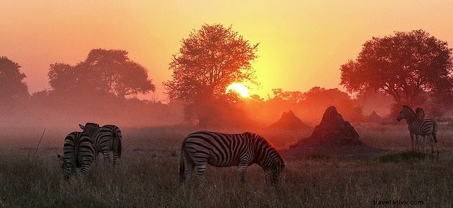 Top 10 Most Beautiful Places to Visit in Botswana for Unforgettable Safaris