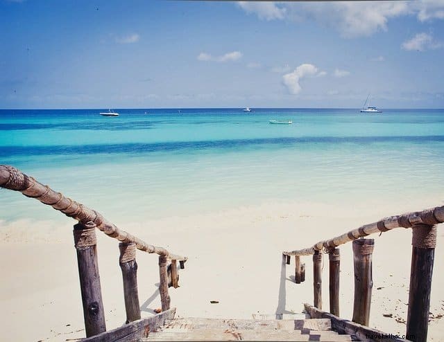 10 Most Stunning Places to Visit in Tanzania: Safaris, Beaches, and Mountains