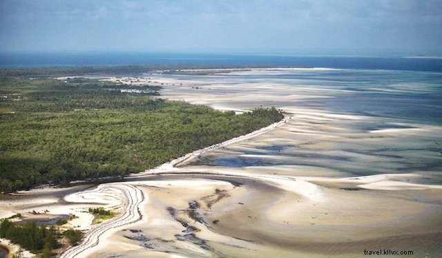 10 Most Stunning Places to Visit in Tanzania: Safaris, Beaches, and Mountains