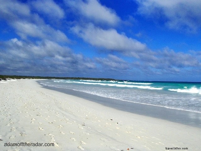 Top 10 Must-Visit Places in the Galapagos Islands