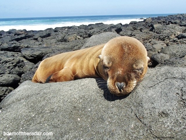 Top 10 Must-Visit Places in the Galapagos Islands