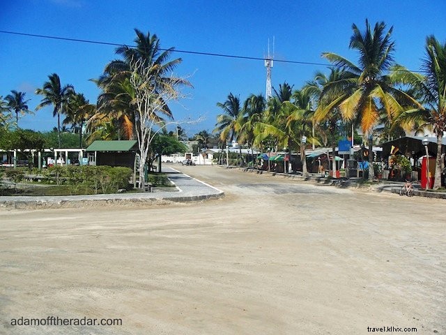 Top 10 Must-Visit Places in the Galapagos Islands
