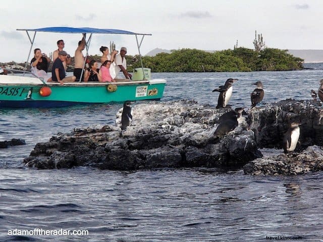 Top 10 Must-Visit Places in the Galapagos Islands