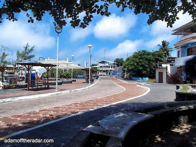 Top 10 Must-Visit Places in the Galapagos Islands