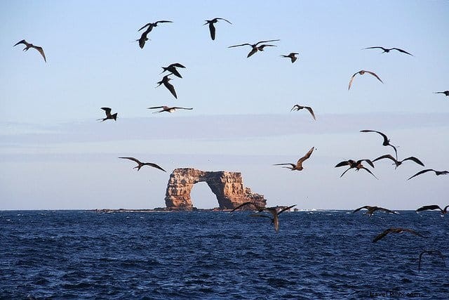 Top 10 Must-Visit Places in the Galapagos Islands
