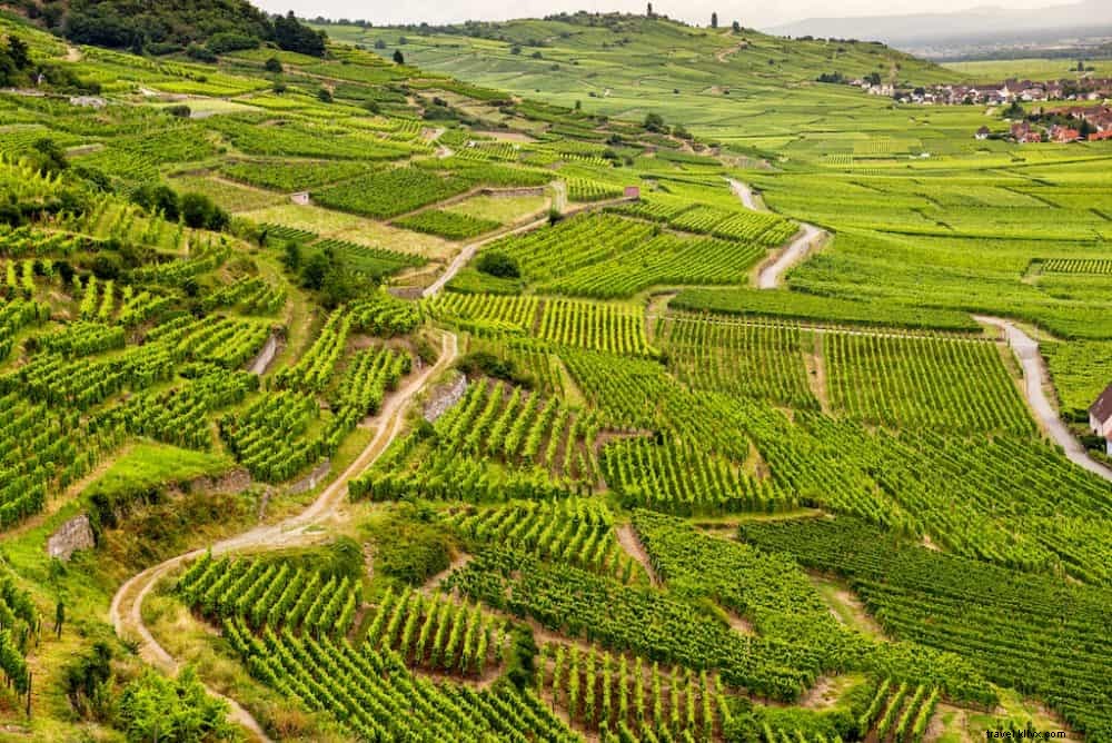 Top 10 Most Beautiful Wine Regions in France