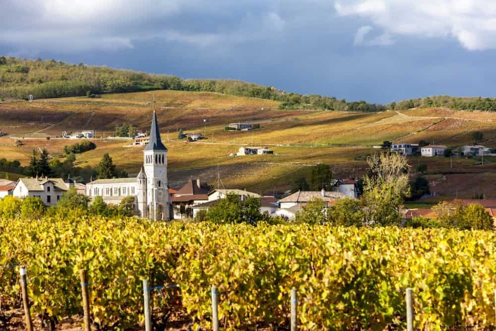 Top 10 Most Beautiful Wine Regions in France