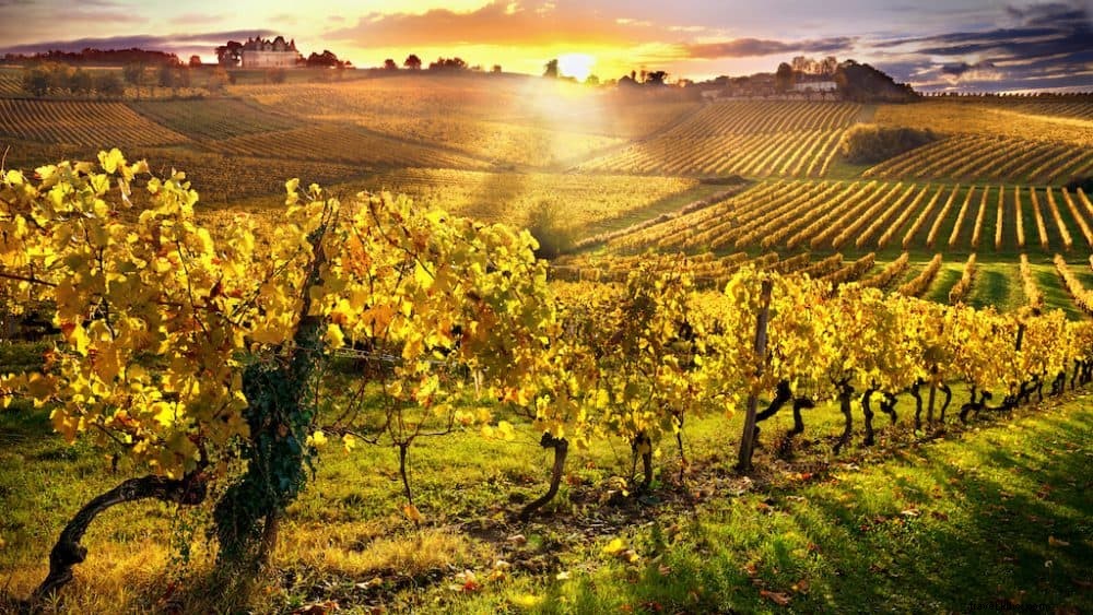 Top 10 Most Beautiful Wine Regions in France