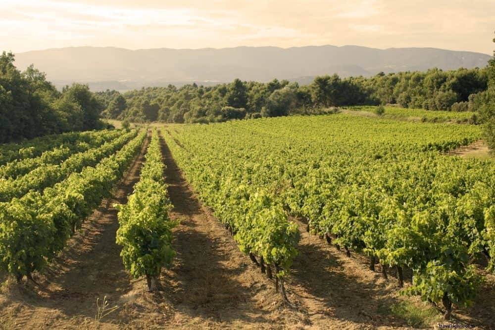 Top 10 Most Beautiful Wine Regions in France