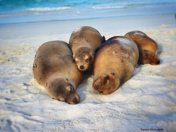 15 Most Stunning Places to Visit in South America: A Travel Expert s Guide