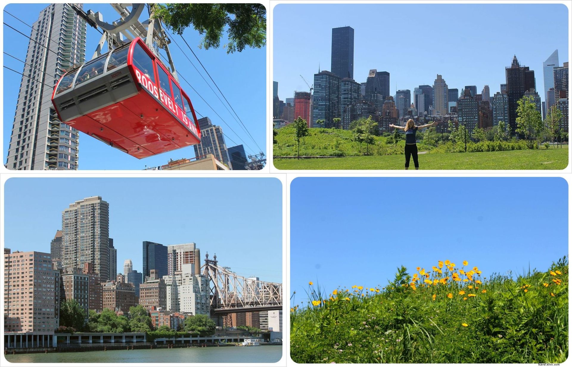 5 Hidden Gems in New York City: Off-the-Beaten-Path Spots Even Locals Miss