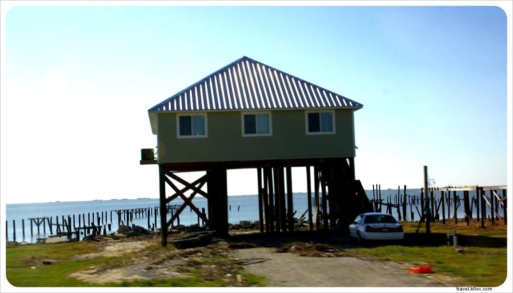 Best Day Trips from New Orleans: Bayou Adventures, Alligator Encounters, and Historic Plantations