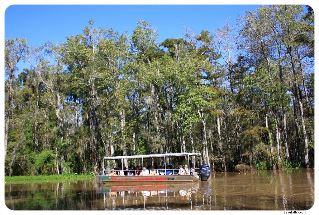 Best Day Trips from New Orleans: Bayou Adventures, Alligator Encounters, and Historic Plantations
