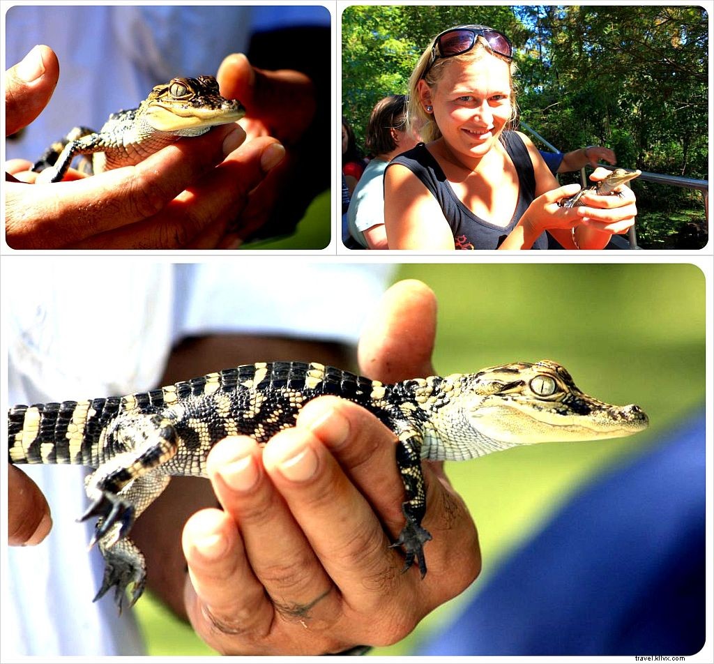 Best Day Trips from New Orleans: Bayou Adventures, Alligator Encounters, and Historic Plantations