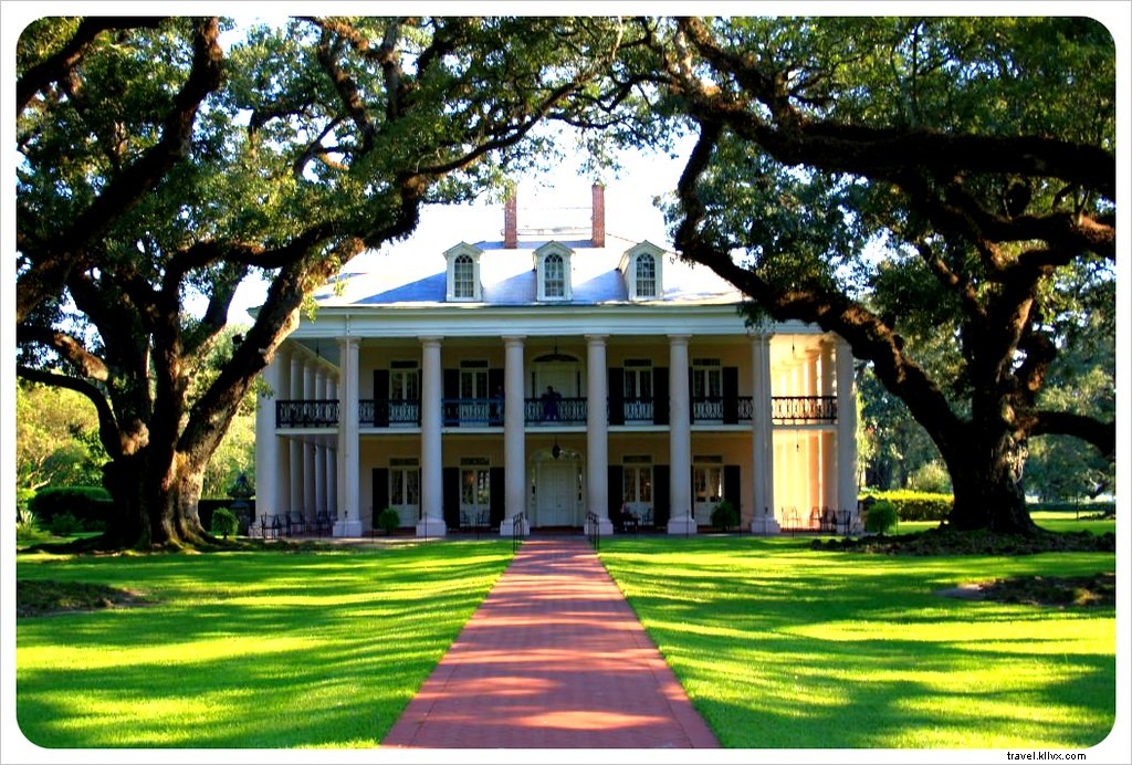 Best Day Trips from New Orleans: Bayou Adventures, Alligator Encounters, and Historic Plantations