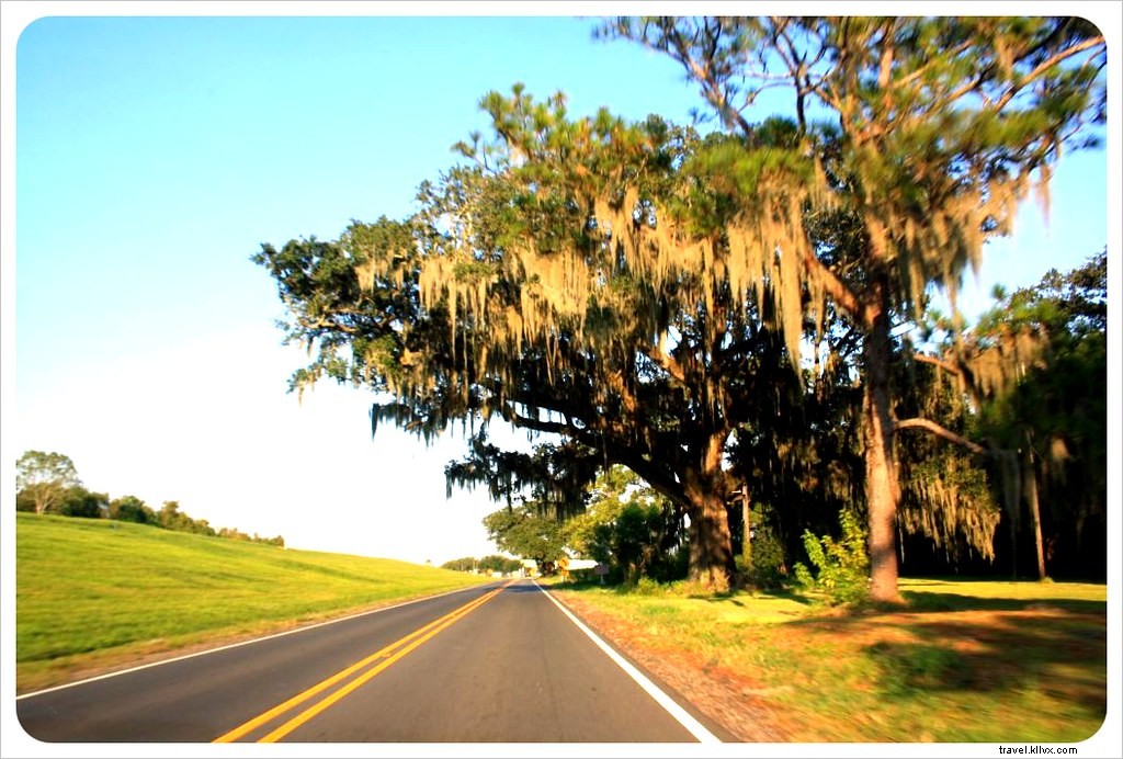Best Day Trips from New Orleans: Bayou Adventures, Alligator Encounters, and Historic Plantations