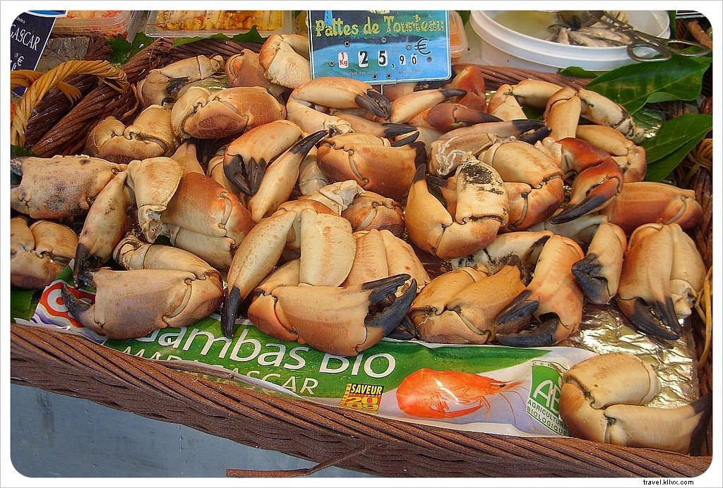 Expert Tips for Visiting Paris with Kids: Family-Friendly Adventures