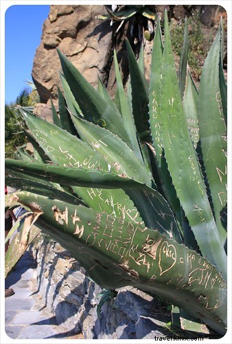 La Via dell Amore: Cinque Terre s Iconic Path of Love Trail, Italy