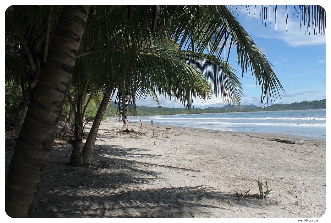 Samara Beach, Costa Rica: The Nicoya Peninsula s Best-Kept Secret – Why Visit This Pristine Paradise
