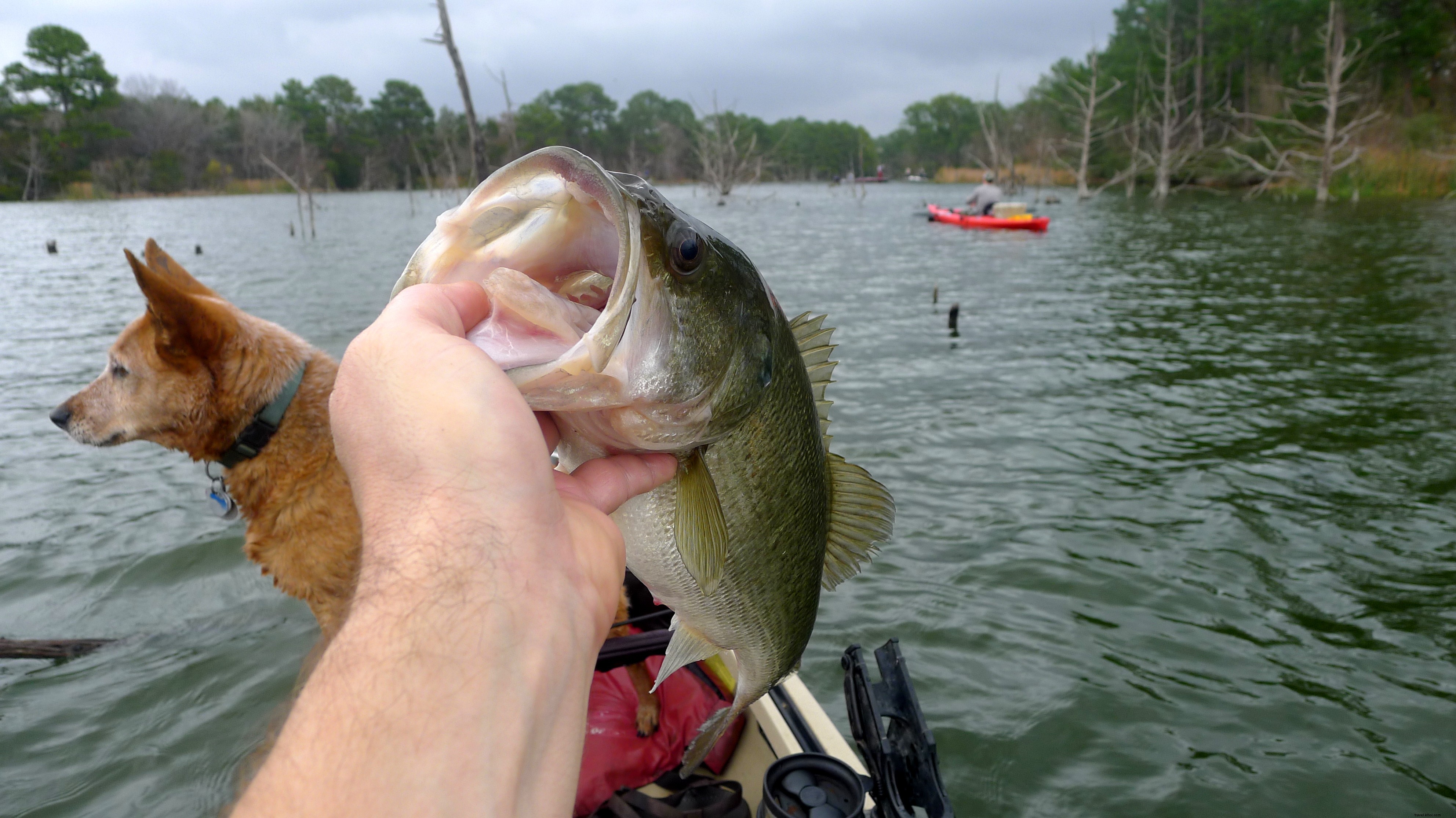 How to Plan a Budget-Friendly Kayak Fishing Trip: Expert Guide