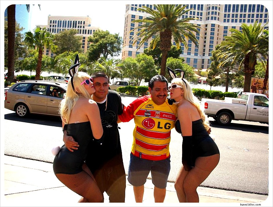 Top 10 Non-Gambling Things to Do in Las Vegas: Free & Budget-Friendly Activities