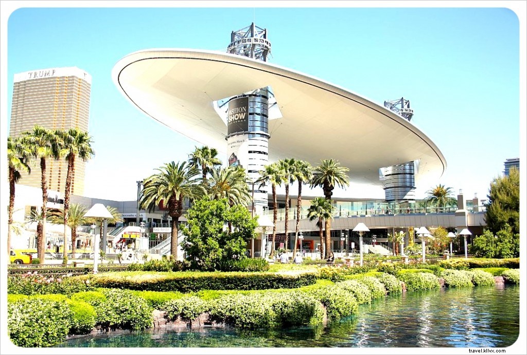 Top 10 Non-Gambling Things to Do in Las Vegas: Free & Budget-Friendly Activities