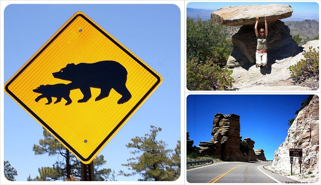 Ultimate Tucson Travel Guide: Top Attractions, Day Trips, Dining & Hotels