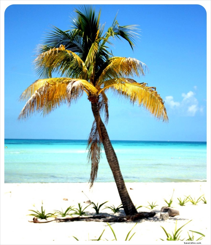 33 Reasons I Love Mexico: Insights from 9 Months of Travel