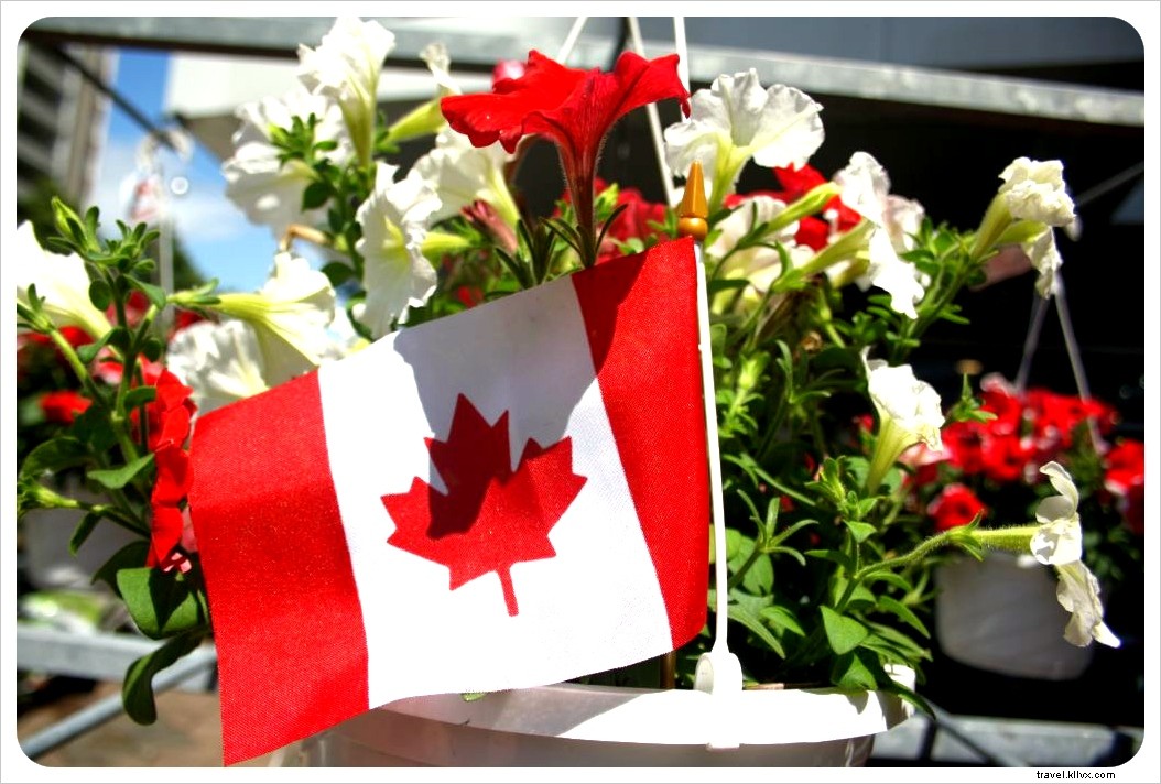 Top 5 Countries for Nurses to Work and Thrive Abroad