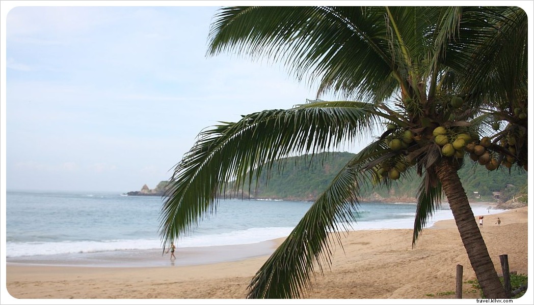 Mazunte, Mexico: Your Guide to Oaxaca s Ultimate Laid-Back Beach Village