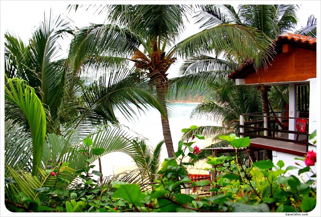 Mazunte, Mexico: Your Guide to Oaxaca s Ultimate Laid-Back Beach Village